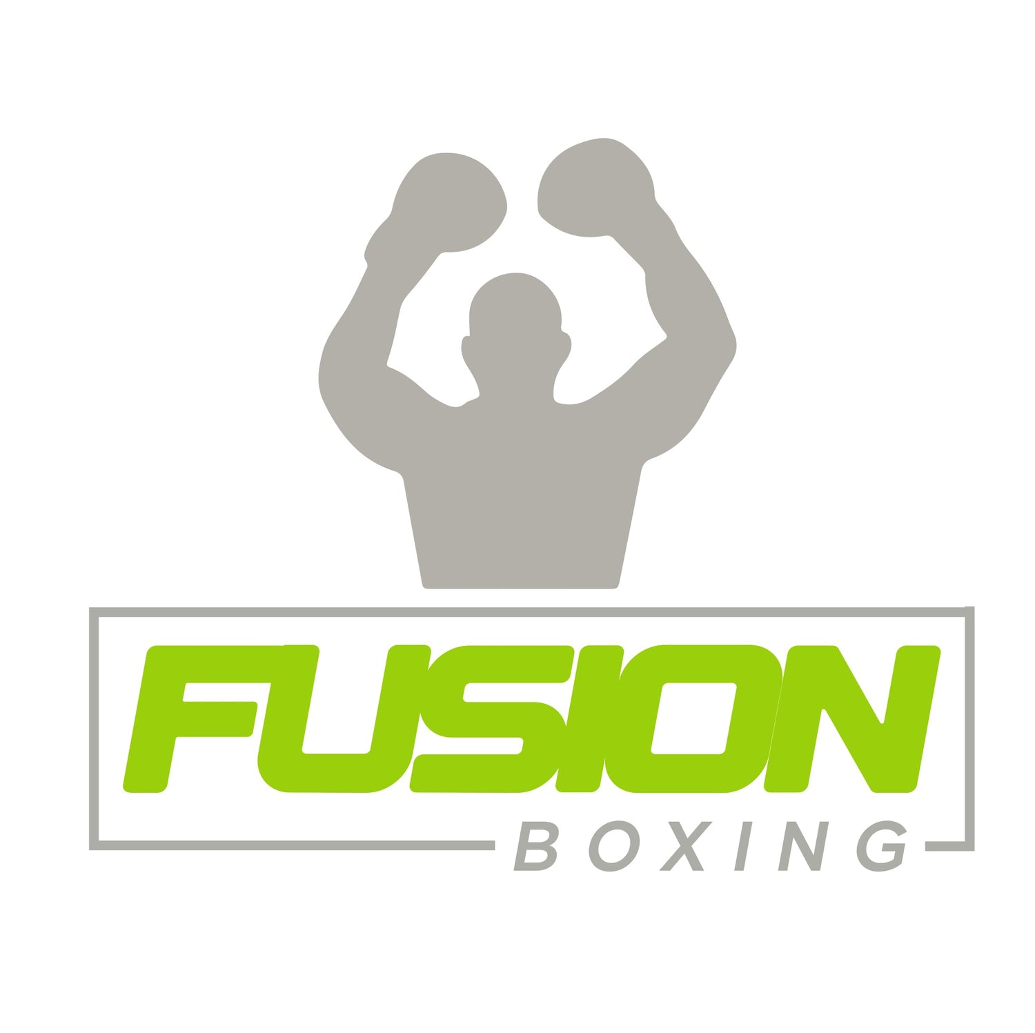 Fusion Boxing