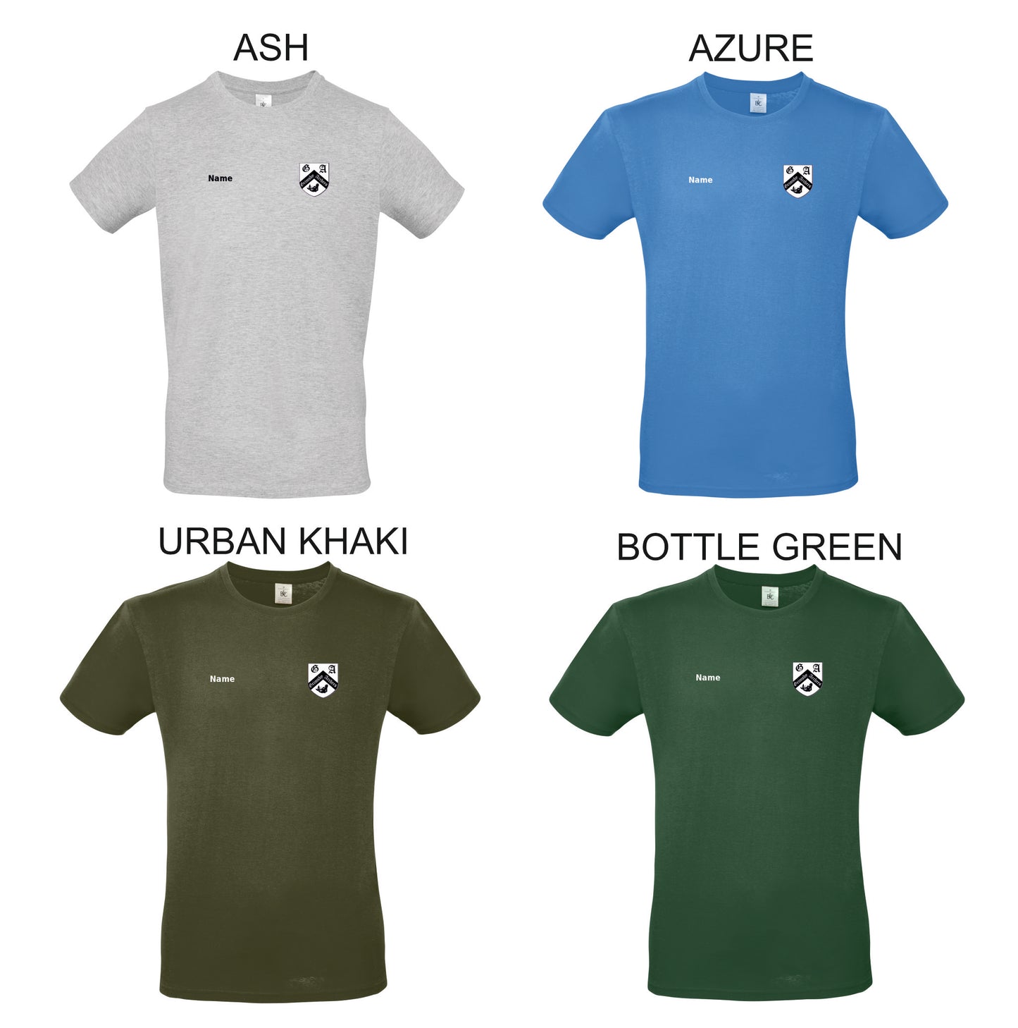 Ladies T Shirt - BA210F